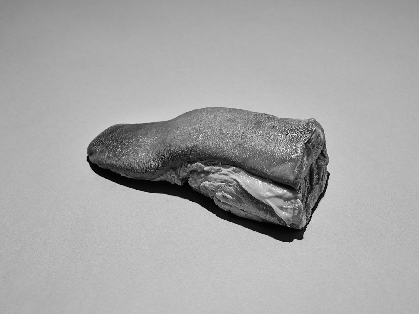 Jenna Garrett / Teeth of the Wolf