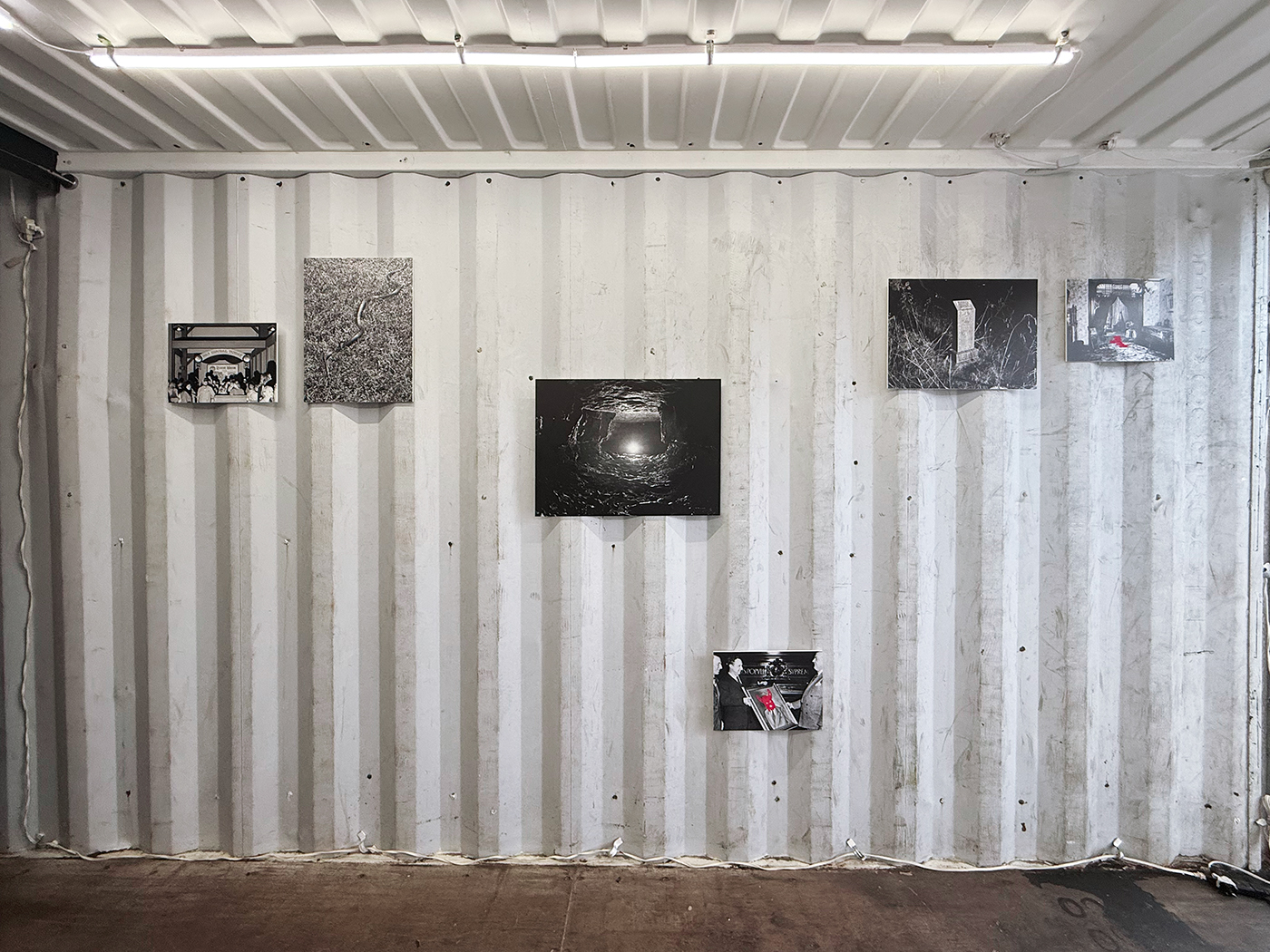 Jenna Garrett / Teeth of the Wolf